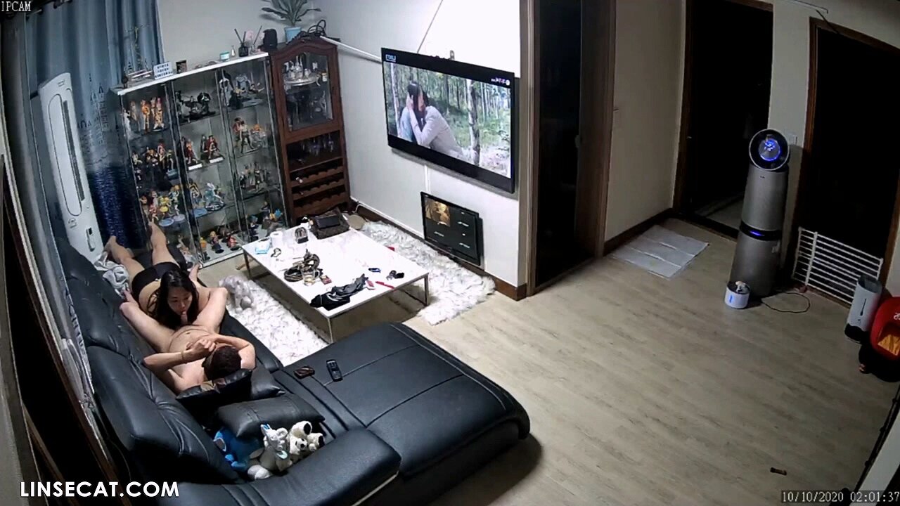 Hacked Korean home IP camera: Bent cock man quickly gives his wife an  orgasm with his hands. Flat-headed man enjoys his wifes blowjob while  watching porn movies - Stingy cat
